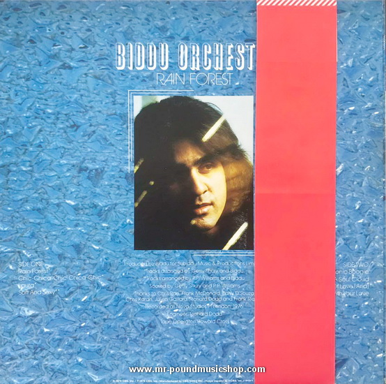 Biddu Orchestra - Rain Forest