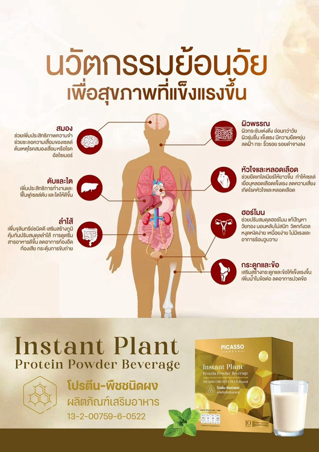 พีคัสโซ่ โปรตีน พลัส (PROTEIN PLUS) โปรตีนพืช-ชนิดผง (1 กล่องมี 10 ซอง)