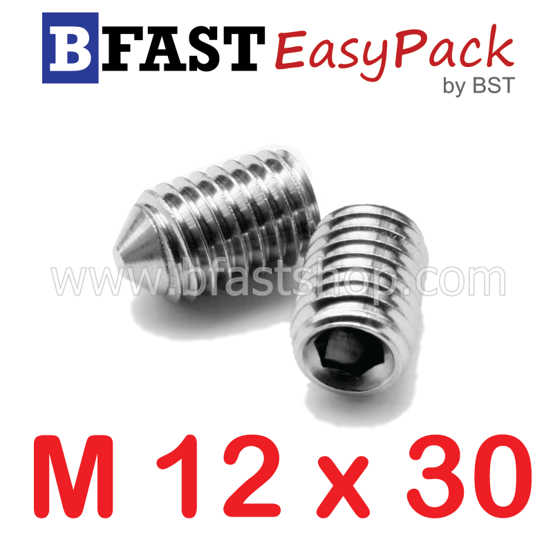 สกรูตัวหนอนปลายแหลมสแตนเลส SUS M12 x 30 (1 ตัว/ถุง)