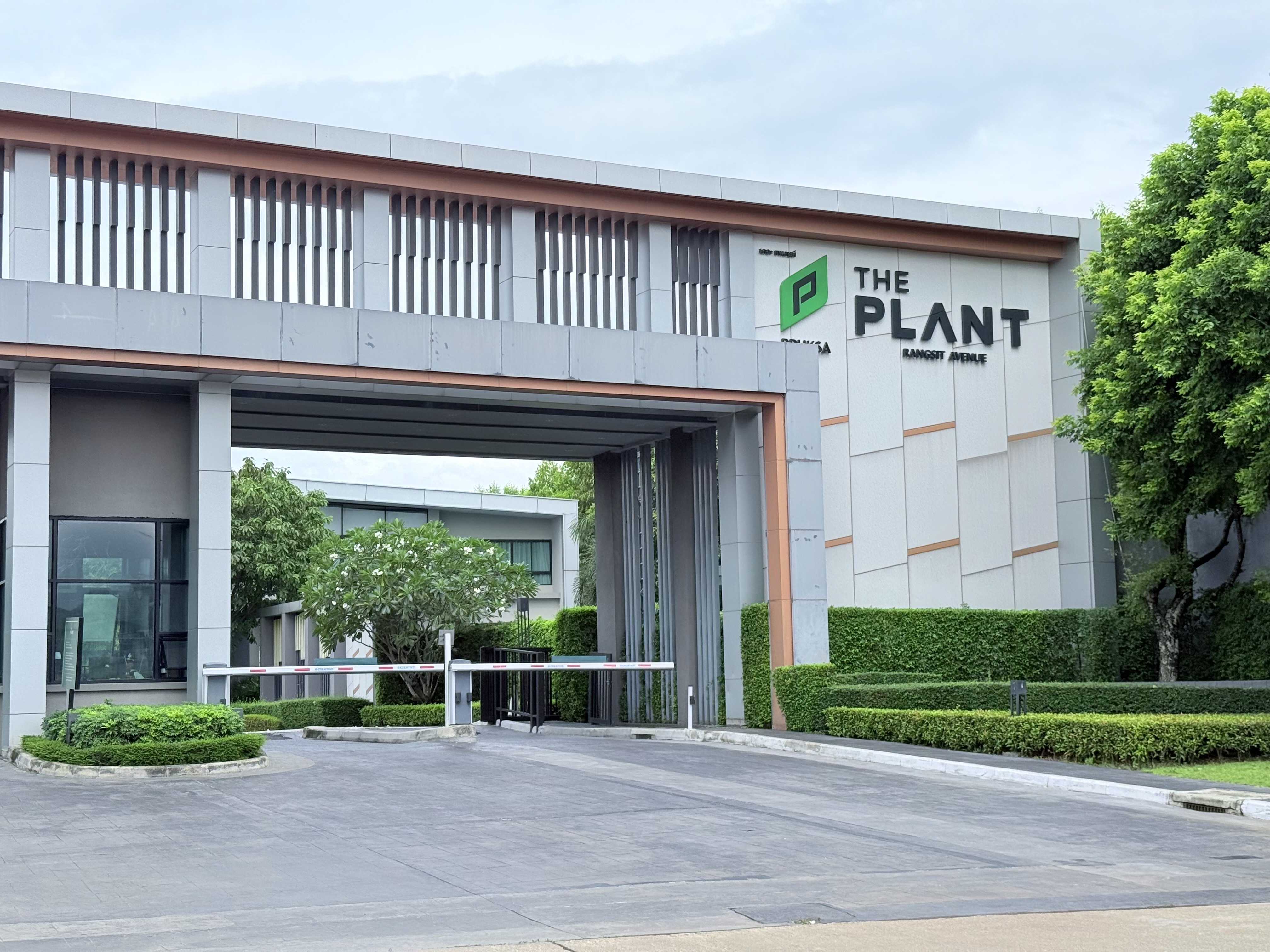 ด่วน‼️ขายบ้านแฝด (ห้องริม) The Plant รังสิต – อเวนิว | แบบบ้าน Devise ขายราคาพิเศษ ต่ำกว่าทุน