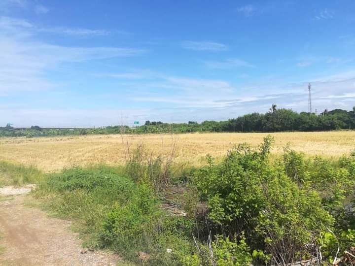 ขายที่ดินบางบัวทอง 13 ไร่ 42 ตรว. และ 3 งาน 60 ตรว. (ขายรวม) ทำเลสวยแหล่งชุมชน