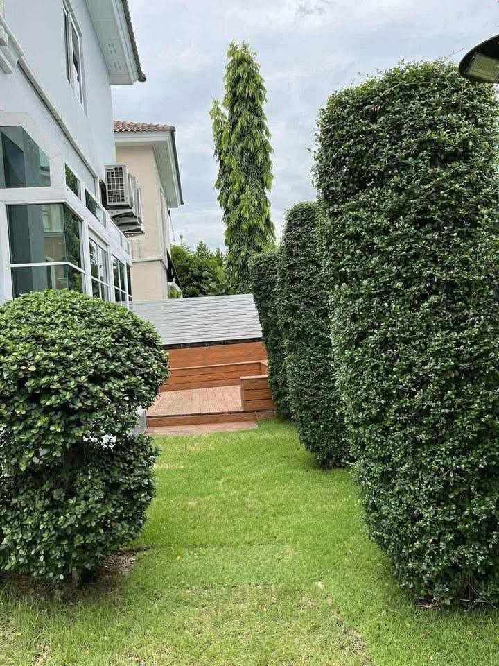 🏡✨ ให้เช่าบ้านเดี่ยว แกรนดิโอ รามอินทรา วงแหวน / Grandio Ramintra Wongwaen ✨