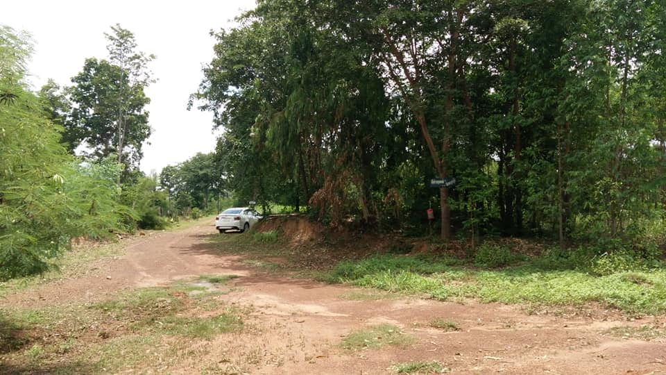 ที่ดินสวยราคาได้ ที่ดินยกแปลง 7 ไร่ 1 งาน 88 ตารางวา ที่ตั้ง ม.11 ต.นาเสียว อ.เมือง.จ.ชัยภูมิ