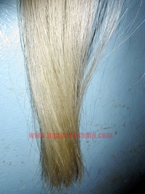 แส้ขนจามรีแท้ ด้ามไม้ Rose Wood ใหม่เก่าเก็บ ไม่ผ่านการใช้