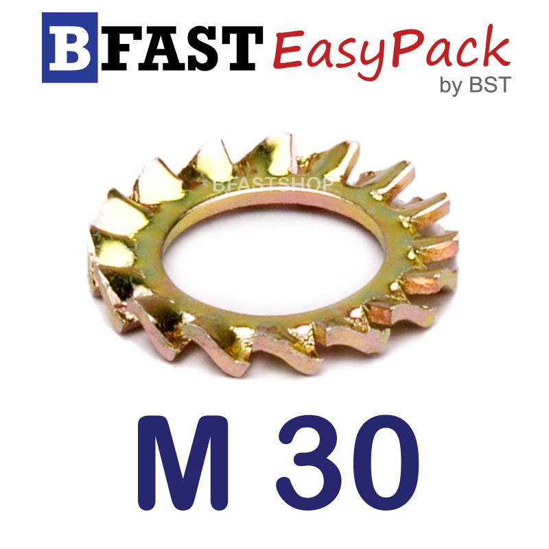 แหวนจักรถึ่นอก M30 ( 1 ตัว/ถุง)