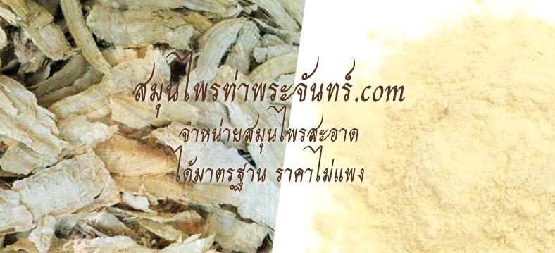 สมุนไพรกวาวเครือขาว Pueraria Mirifica