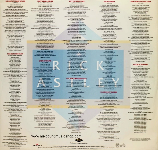 Rick Astley - Hold Me In Your Arms