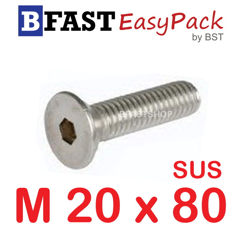 สกรูหัวจมเตเปอร์สแตนเลส SUS M20 x 80 (1 ตัว/ถุง)
