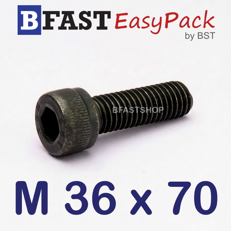 สกรูหัวจมดำ M 36 x 70 *เกลียวตลอด*