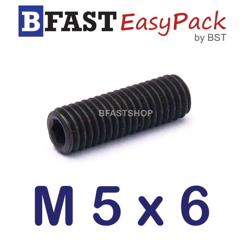 สกรูตัวหนอนดำ M 5 x 6 (20 ตัว/ถุง)