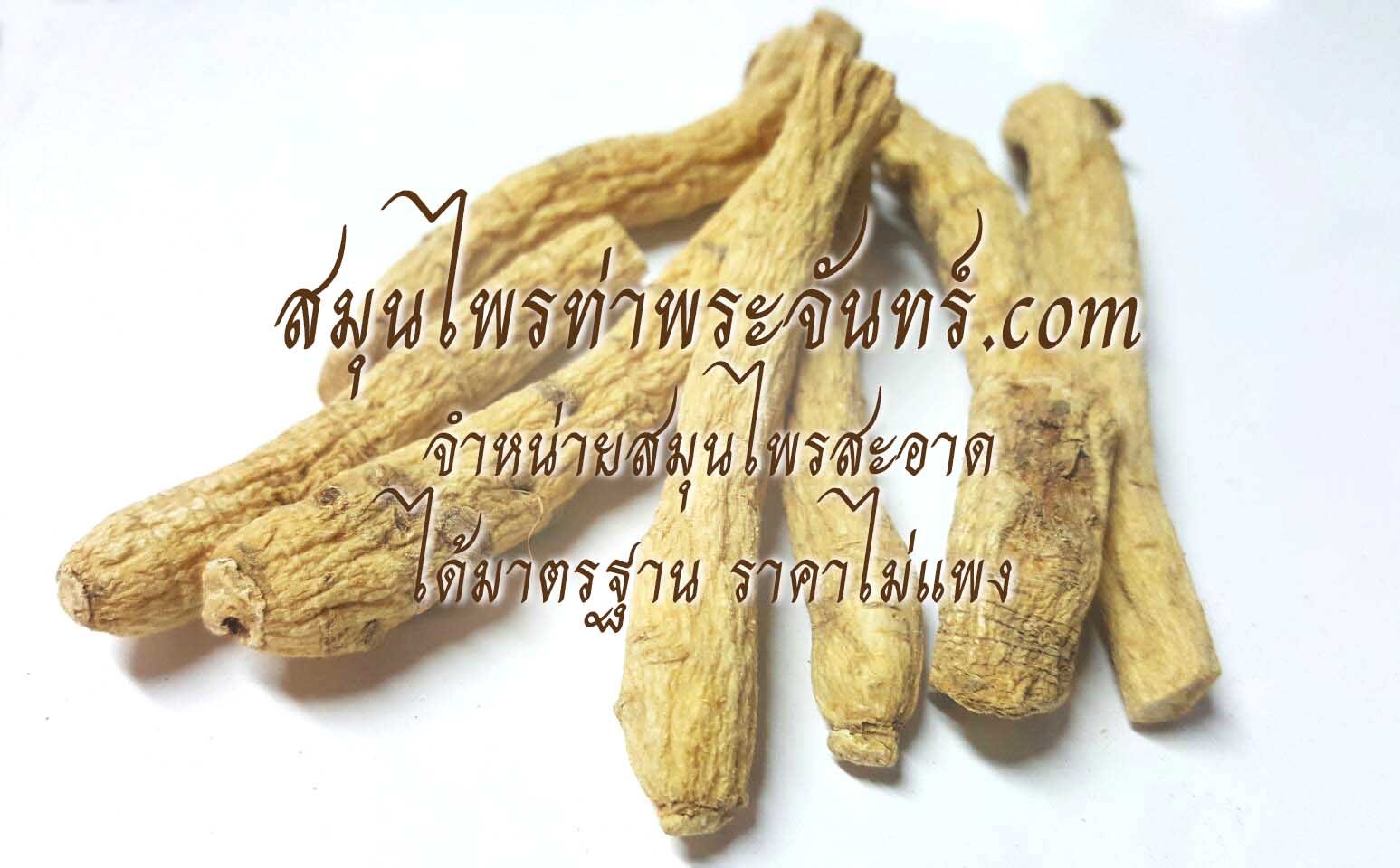 สมุนไพรหัวโสม