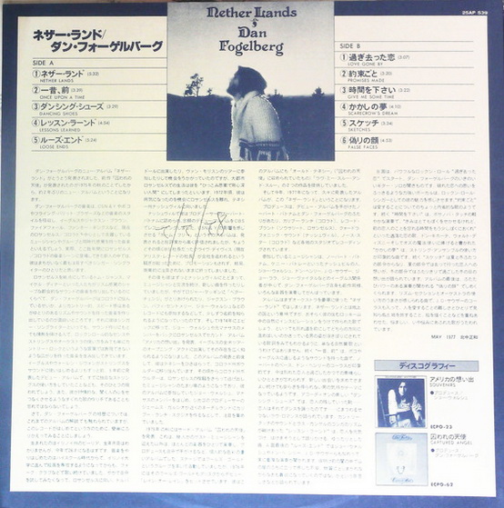 Dan Fogelberg - Nether Lands
