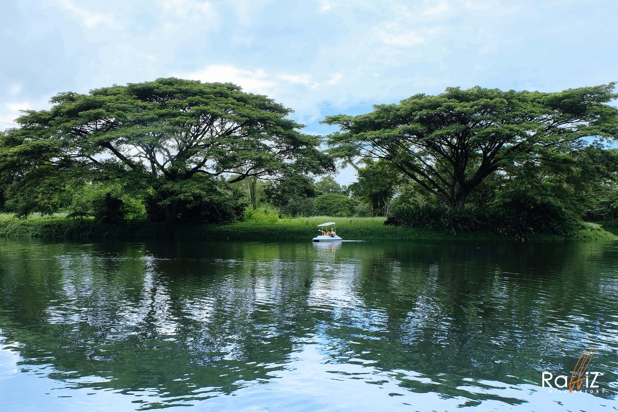 ขายที่ดินจัดสรรแบ่งขายในโครงการ แรบบิซ ฮิลส์ รีสอร์ท (Rabbiz Hill Resort) อำเภอ แก่งหางแมว, จังหวัดจันทบุรี