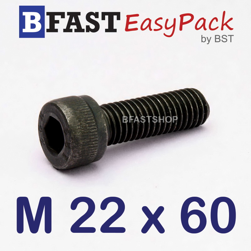 สกรูหัวจมดำ M 22 x 60 *เกลียวตลอด*