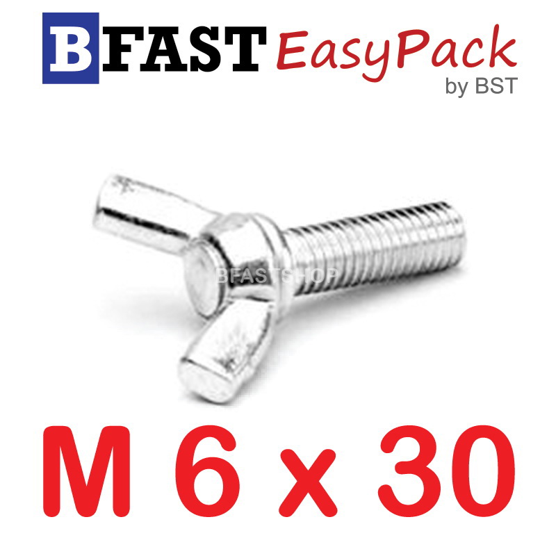 สกรูหางปลาหูกระต่ายสแตนเลส M6 x 30 ( 1ตัว/ถุง)