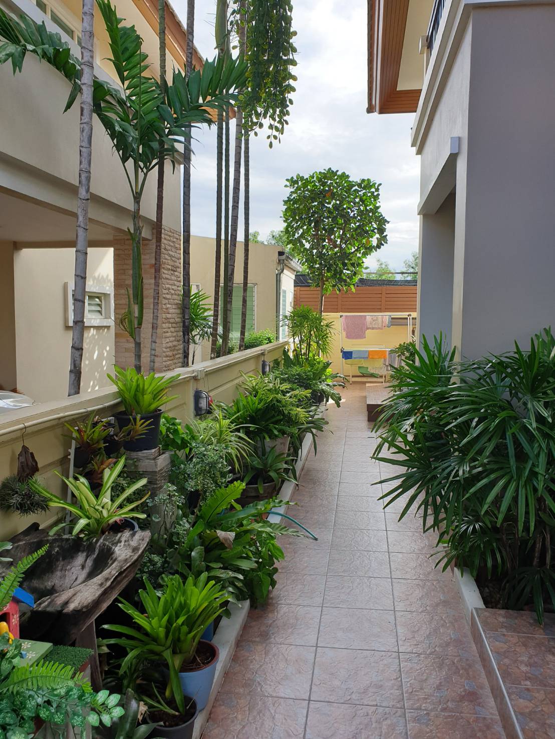 ขายด่วนเดี่ยว 2 ชั้น โครงการ หมู่บ้าน เศรณีรายา 1 ถ. นาวง สีกัน ดอนเมือง 7.9 ล้าน 3 ห้องนอน 3 ห้องน้ำ ขนาด 60 ตร.วา