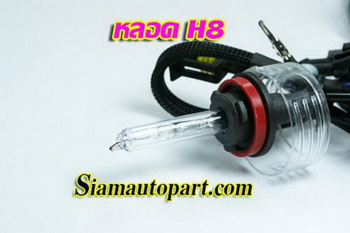 หลอดXenon H8
