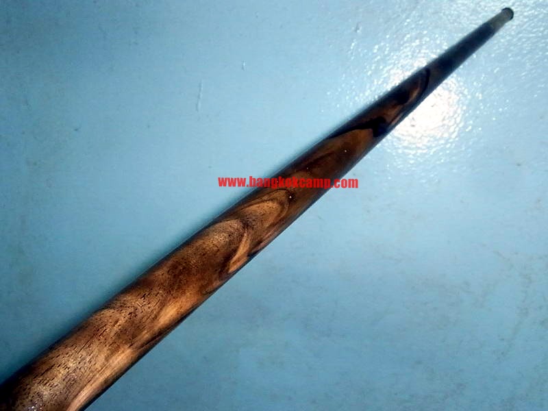 ไม้มงคลหายาก... ไม้ตะพด(ไม้มะริด)