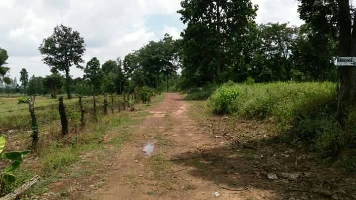 ที่ดินสวยราคาได้ ที่ดินยกแปลง 7 ไร่ 1 งาน 88 ตารางวา ที่ตั้ง ม.11 ต.นาเสียว อ.เมือง.จ.ชัยภูมิ