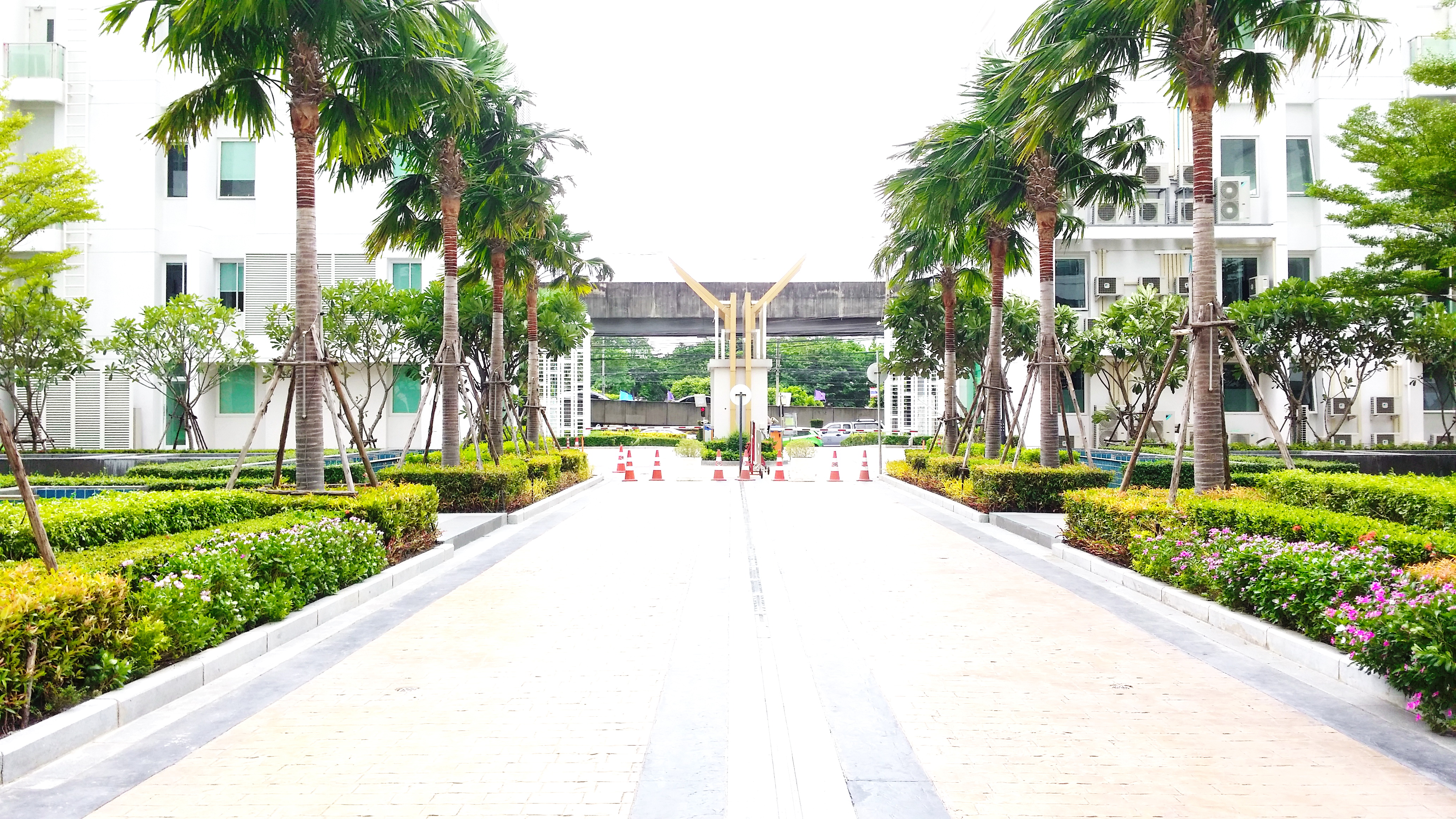 ขาย / เช่าคอนโด T.C. Green (ที.ซี. กรีน) ห้องมุมที่สวยที่สุด แต่งสวย วิวสุดยอด ประเภทห้อง D : 1 ห้องนอน