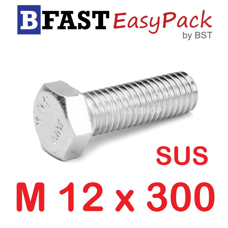 สกรูหัวเหลี่ยมสแตนเลส M12 x 300 (1 ตัว)