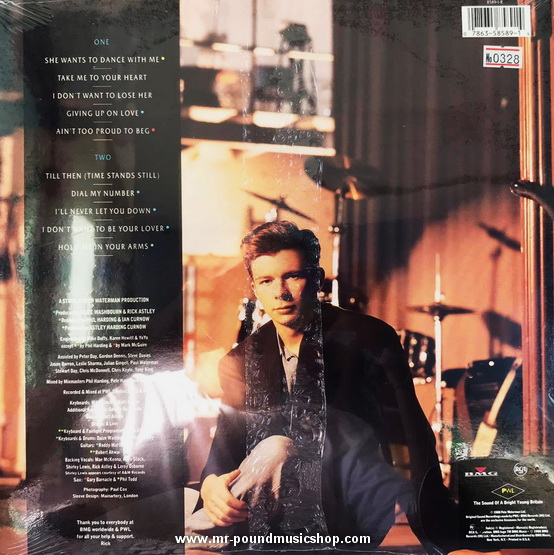 Rick Astley - Hold Me In Your Arms