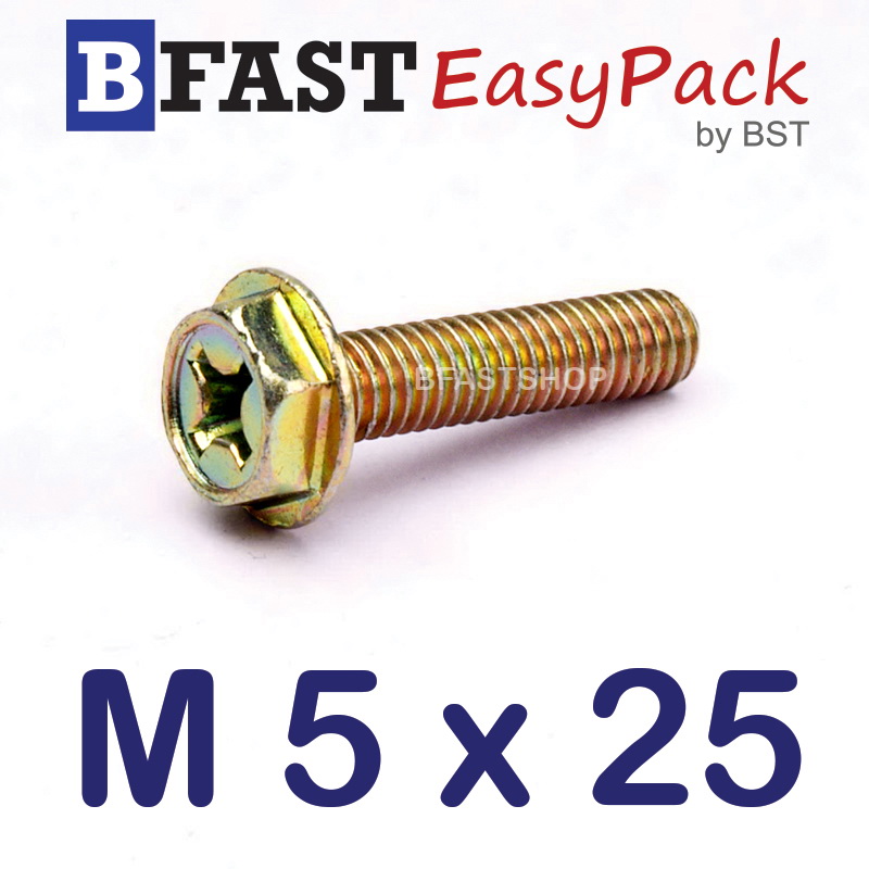 สกรูหัวเหลี่ยมติดแหวน HW+ M5 x 25 (10 ตัว/ถุง)