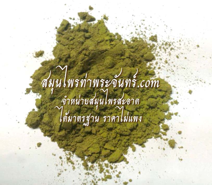 ผงชาเขียวใบหม่อน