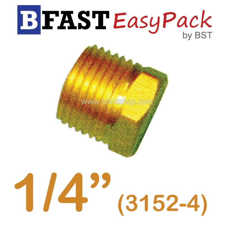 ปลั๊กอุดหัวหกเหลี่ยม (3152-4) 1/4" (1 ตัว/ถุง)