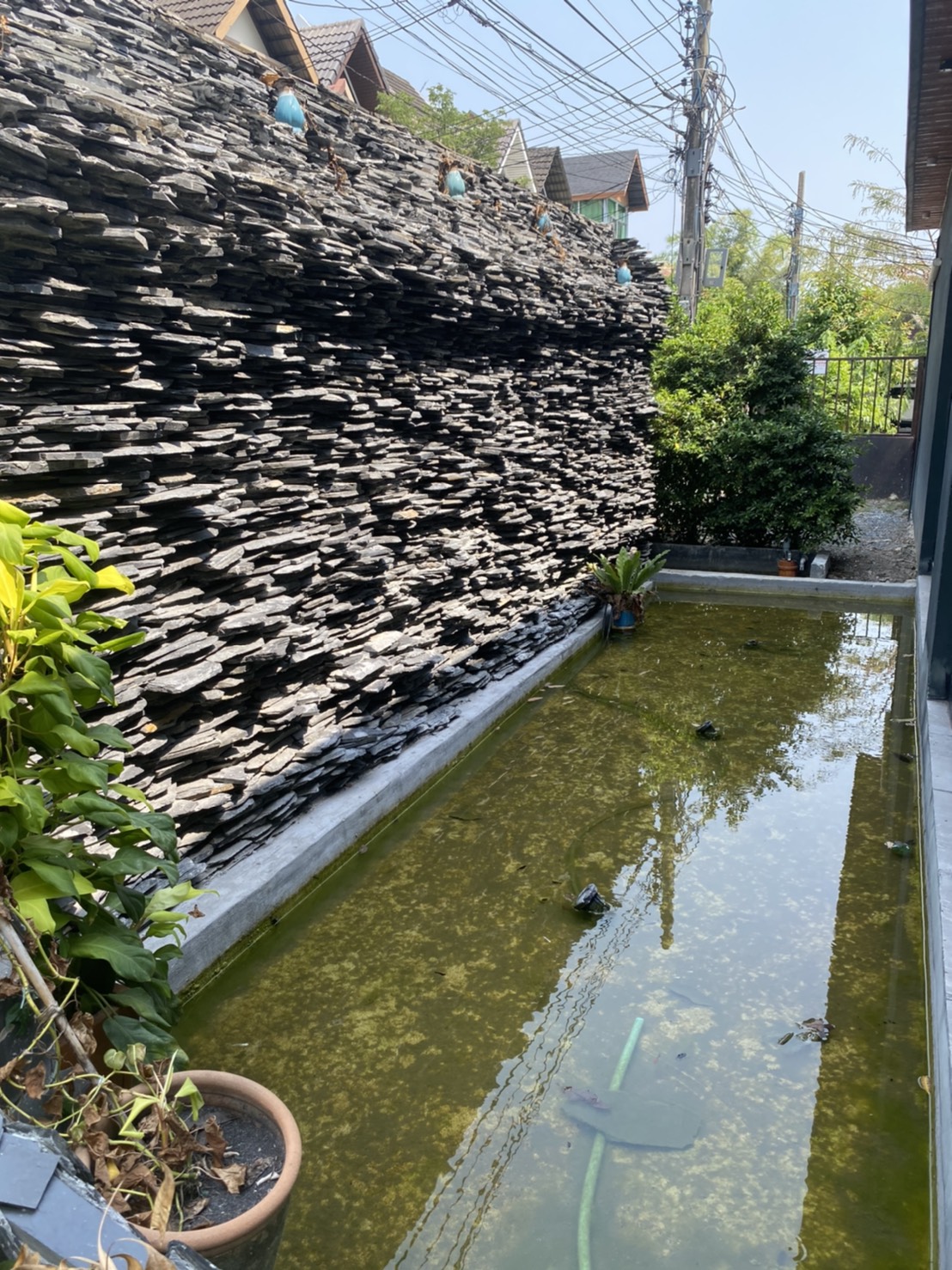 เซ้งร้านอาหารอุปกรณ์ครบพร้อมดำเนินการ ราคาเช่า 100,000 บาทต่อเดือน ประกาศเซ้งในราคา 9 ล้าน บาท