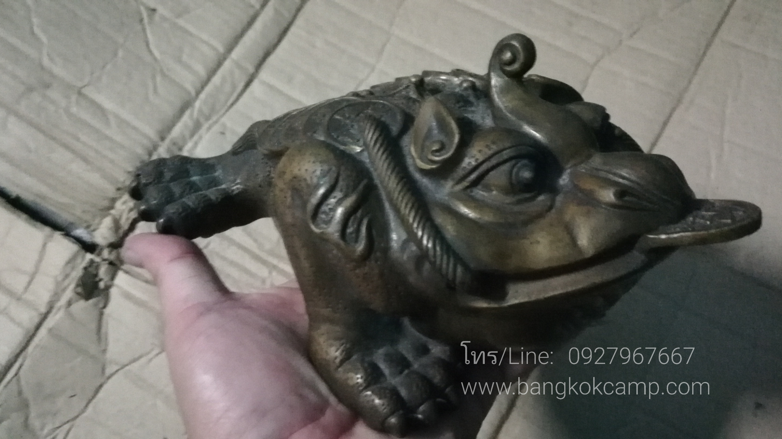 คางคกสามขาคาบเหรียญ (กิมเซียมซู) คางคก3ขาทองเหลือง (2)