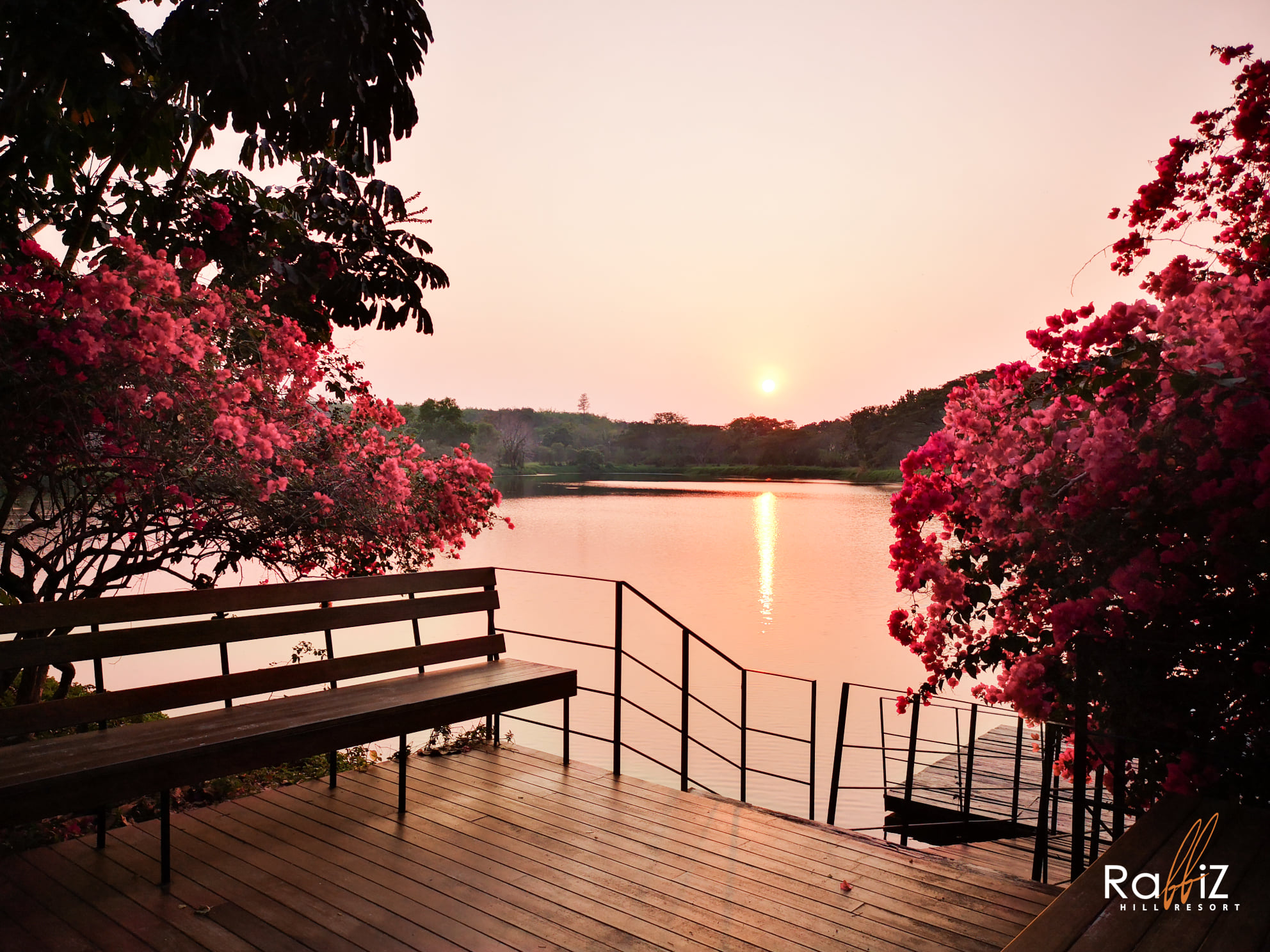 ขายที่ดินจัดสรรแบ่งขายในโครงการ แรบบิซ ฮิลส์ รีสอร์ท (Rabbiz Hill Resort) อำเภอ แก่งหางแมว, จังหวัดจันทบุรี