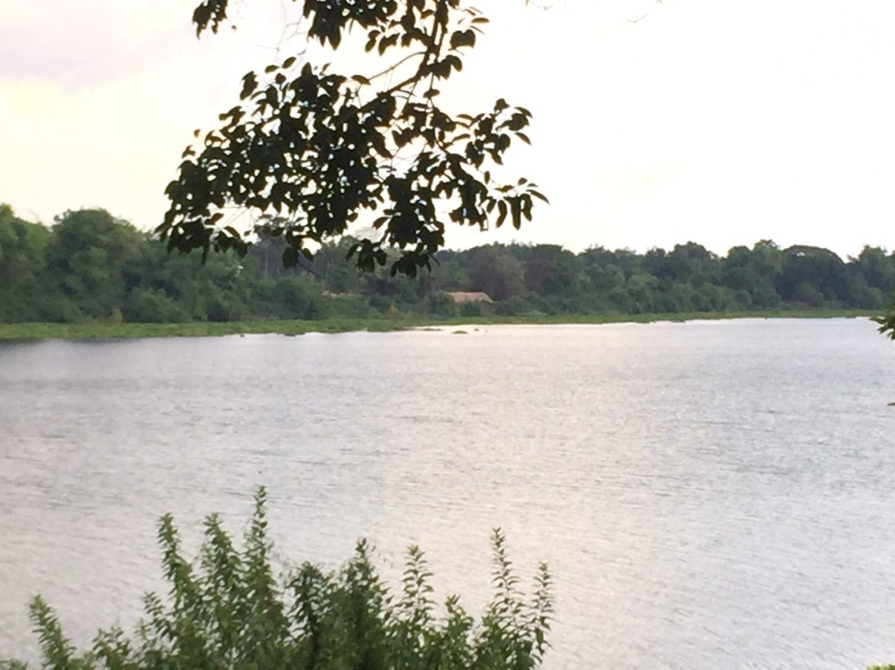 ขายที่ดินสวยติดแม่น้ำมูลทั้งผืน อำเภอ พิบูลมังสาหาร จังหวัด อุบลราชธานี อากาศเย็นสบายทั้งปี