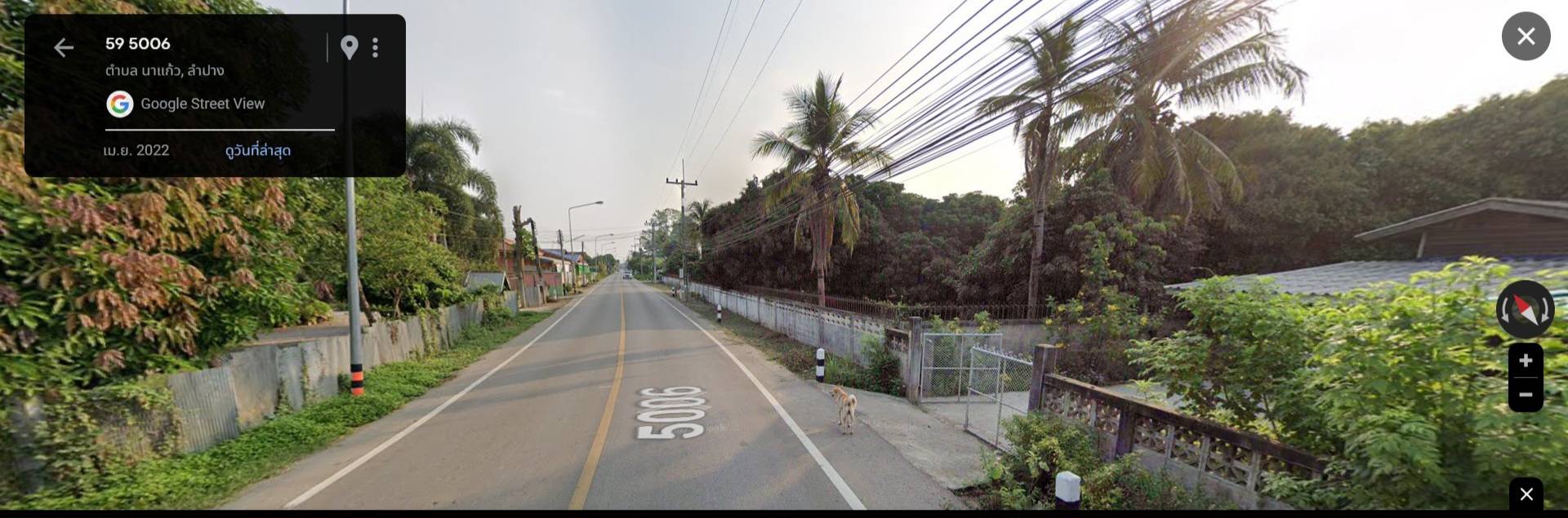 ให้เช่าที่ดินสวนลำไย 10 ไร่ +- ที่ดินติดถนนดำ หน้ากว้าง ใกล้ชุมชน น้ำไฟเข้าถึง ตำแหน่งที่ตั้ง ตำบล นาแก้ว อำเภอ เกาะคา จังหวัด ลำปาง