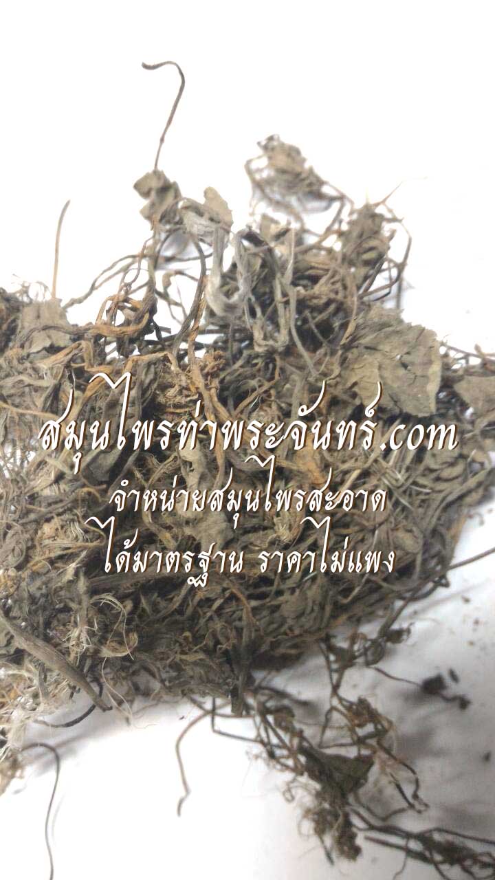 สมุนไพรใบบัวบก