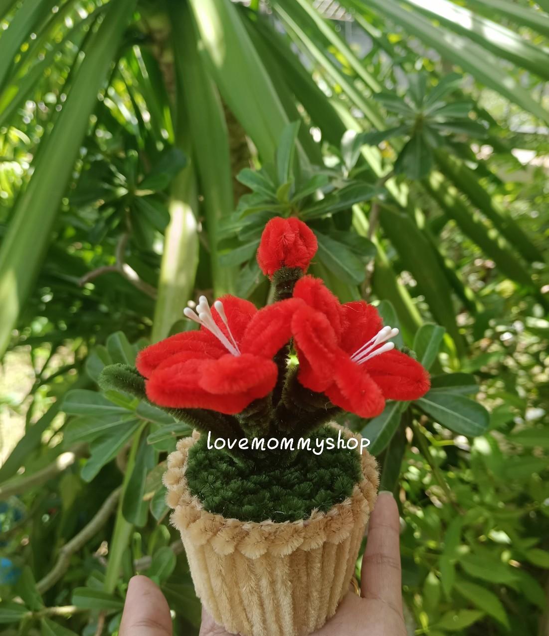 กระถางดอกไม้ ดอกทานตะวัน ดอกทิวลิป