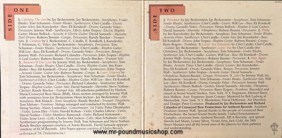 Spyro Gyra - Catching The Sun