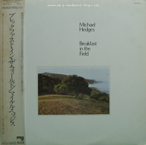 Michael Hedges - Breakfast in The Field