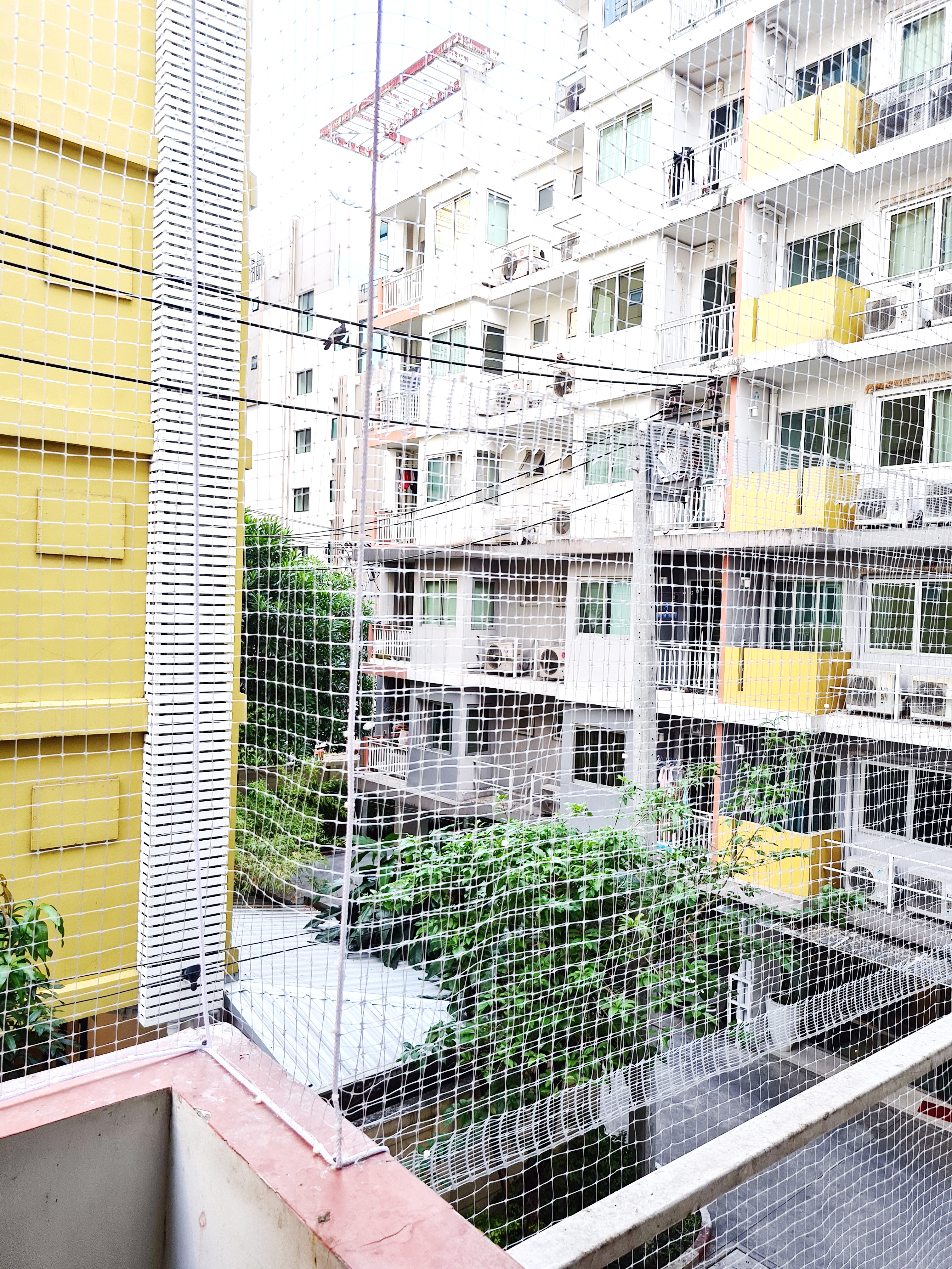 ขายพร้อมผู้เช่า เพิ่งตกแต่งใหม่ My Condo Sukhumvit 81 (มายคอนโด สุขุมวิท 81) ห้องเลขที่ 44/26(3004) ชั้น 3 พื้นที่ 34.81 ตรม.