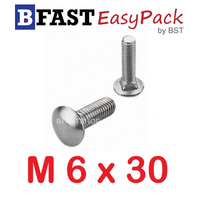 สกรูหัวกลมคอเหลี่ยมสแตนเลส M6 x 30 (5 ตัว/ถุง)