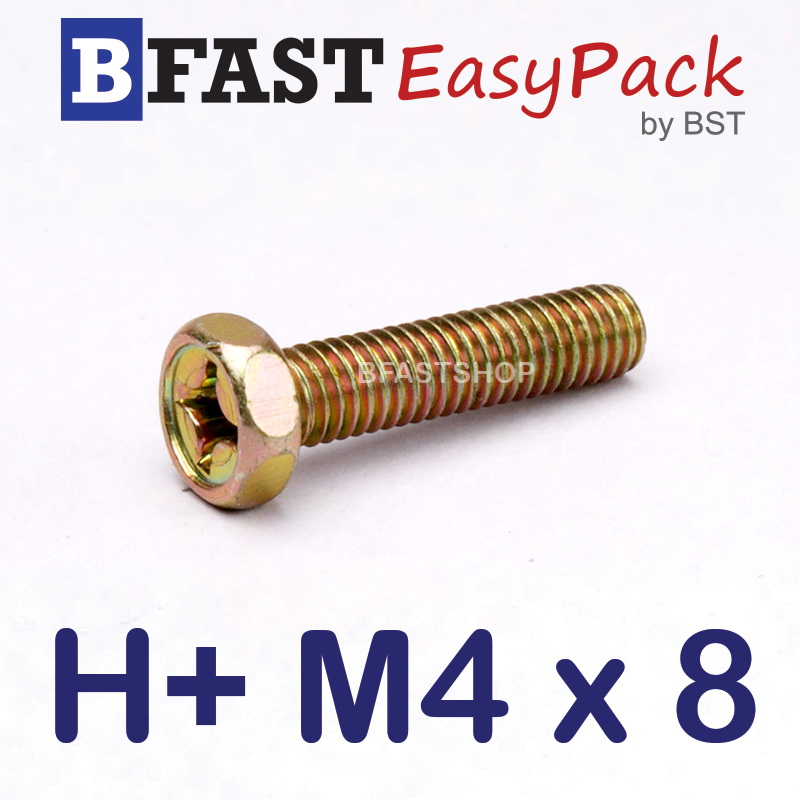 สกรูหัวเหลี่ยมแฉก H+ M4 x 8 (สกรู IND) (25 ตัว/ถุง)
