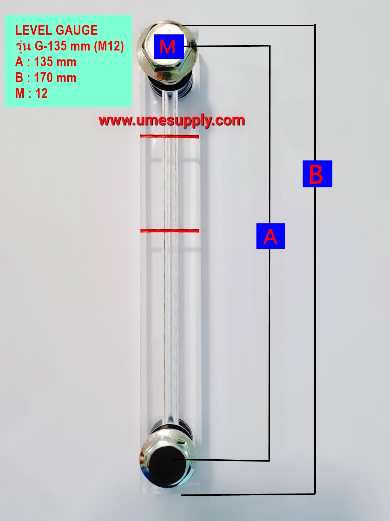 เกจวัดระดับน้ำมัน (LEVEL GAUGE ) Model :G-135 (M10) : G-135 (M12) (Screw AirCompressor)