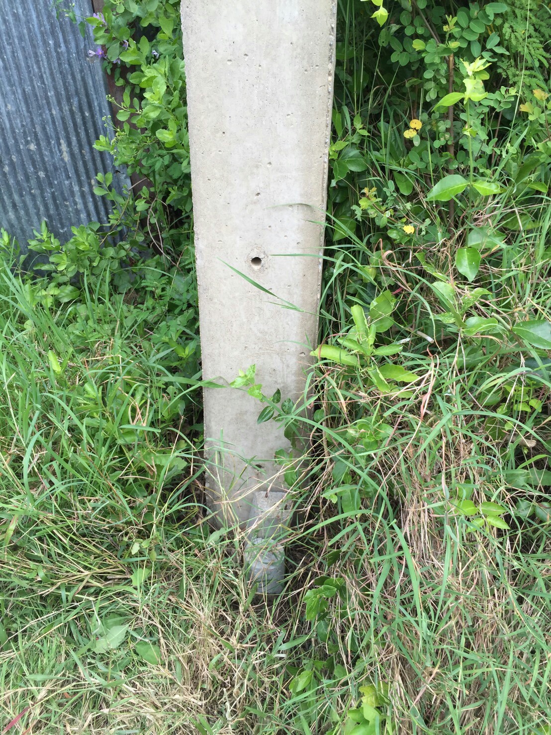 รหัสทรัพย์ 87582 ขายที่ดิน 2 แปลงจังหวัดนครปฐม 2 แปลงติดกัน