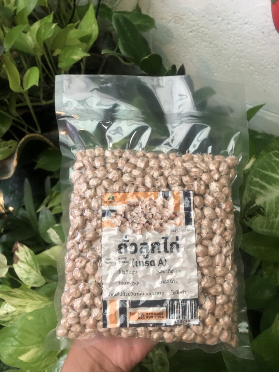 ปางแก้ว ถั่วลูกไก่ 500 กรัม (สิบล้อ) เกรด A ธัญพืชแบบดิบ