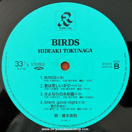 Hideaki Tokunaga - Birds
