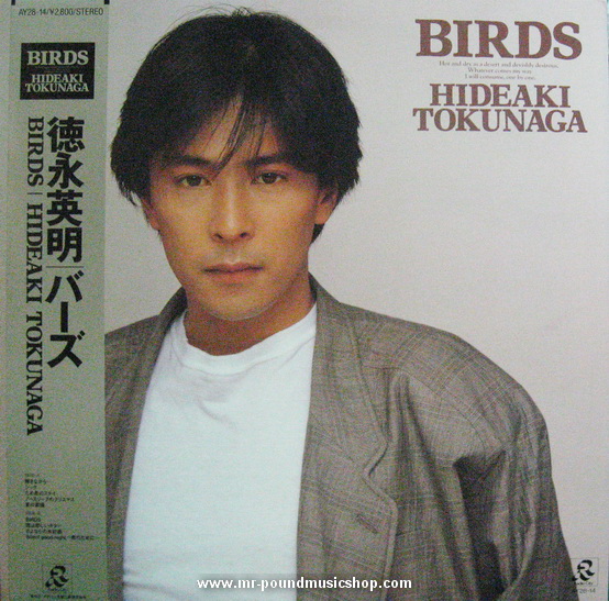 Hideaki Tokunaga - Birds