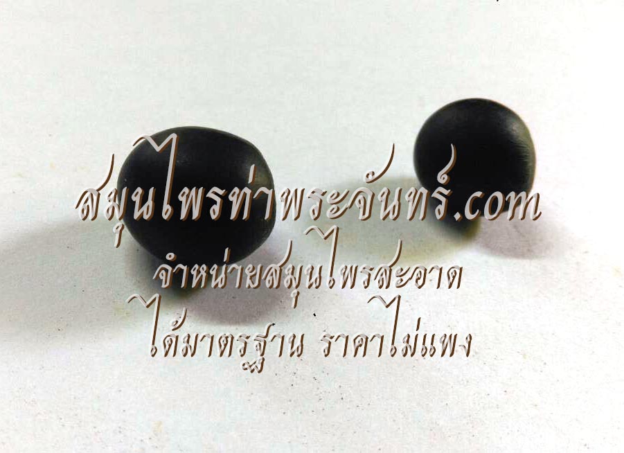 สมุนไพร ลูกประคำ