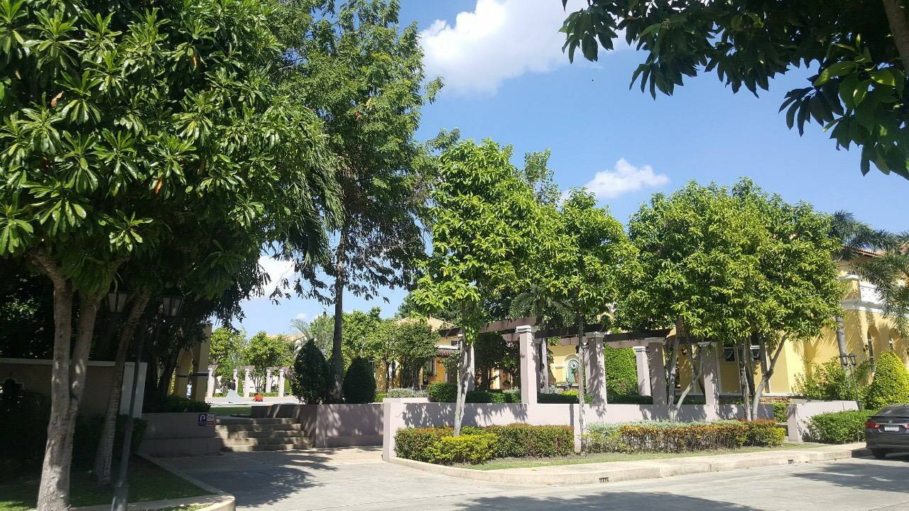 ให้เช่าบ้านเดี่ยวโครงการ Magnolias Southern California Bangna - KM.7 บ้านหรู California Style ราคาเช่า 110,000 บาท