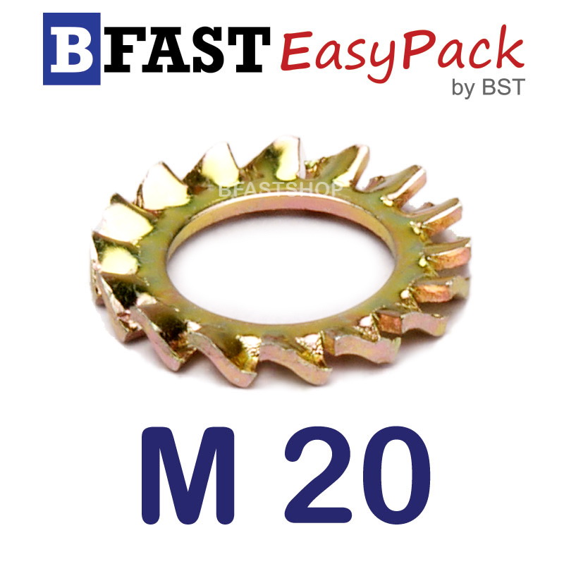 แหวนจักรถึ่นอก M20 ( 2 ตัว/ถุง)