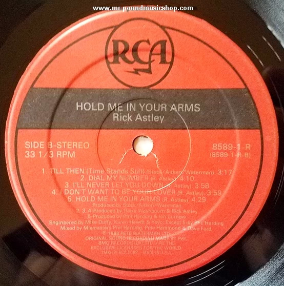 Rick Astley - Hold Me In Your Arms